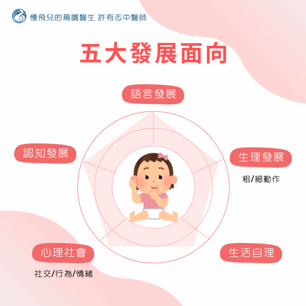 發展遲緩五大發展面向