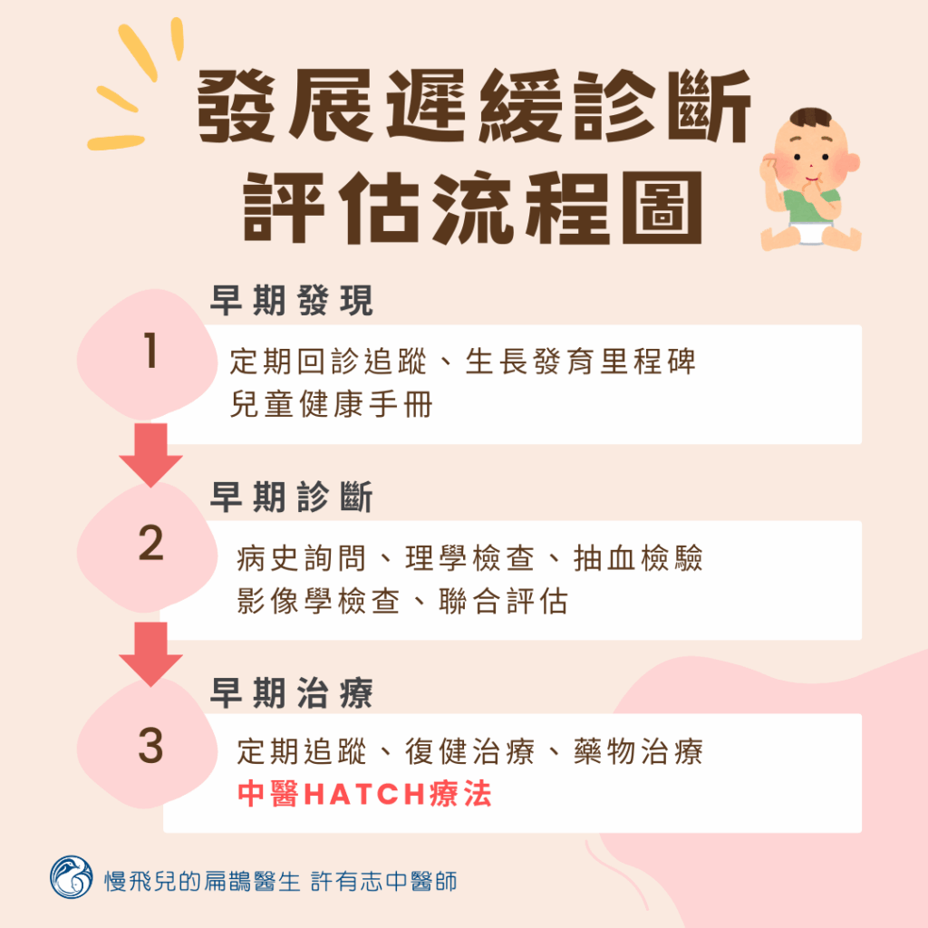 發展遲緩診斷評估流程圖