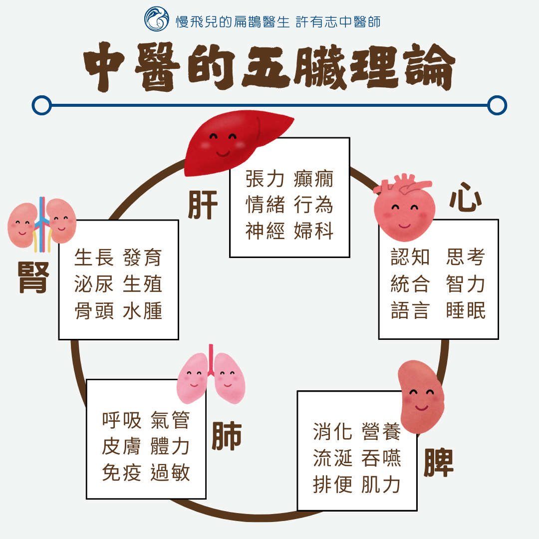 中醫的五臟理論