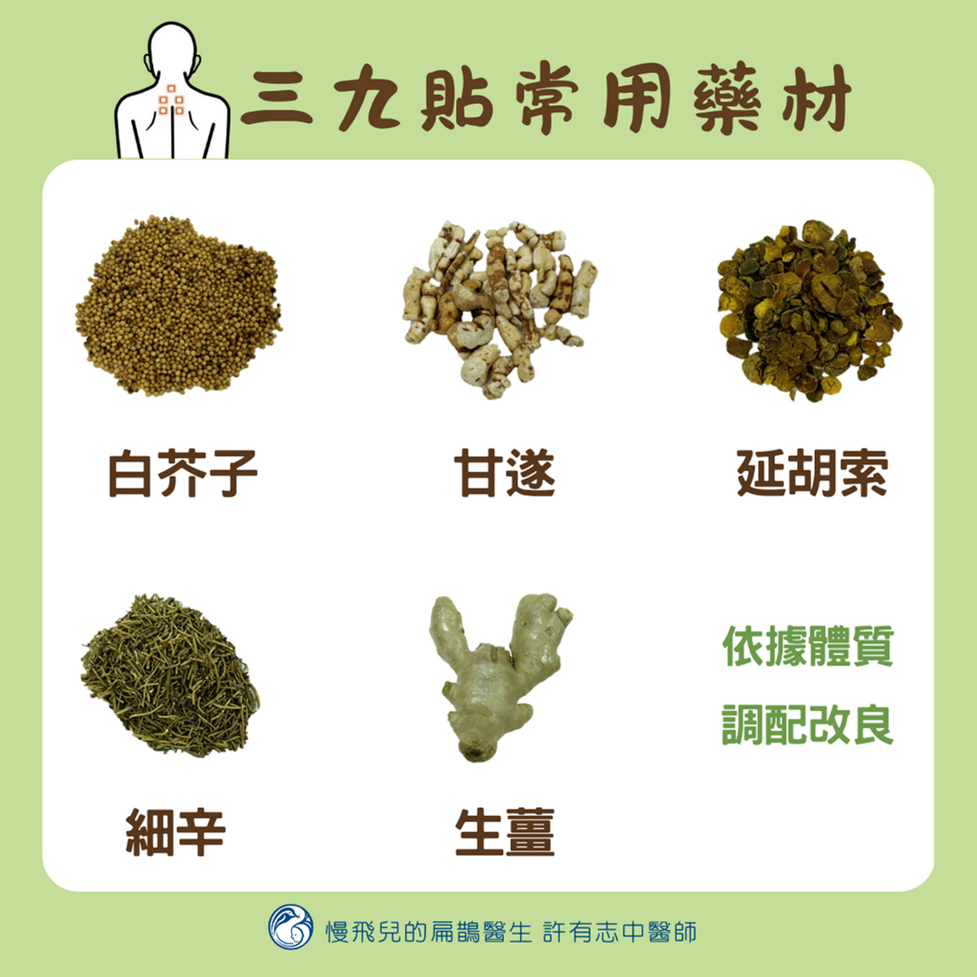 三九貼常用藥材