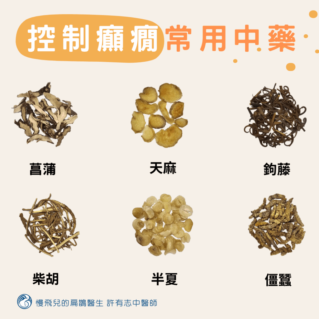 控制癲癇常用中藥