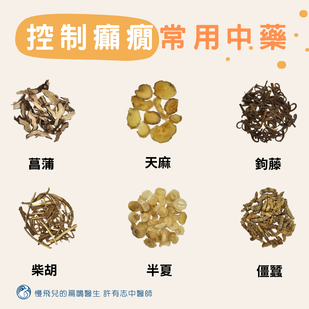 控制癲癇常用中藥